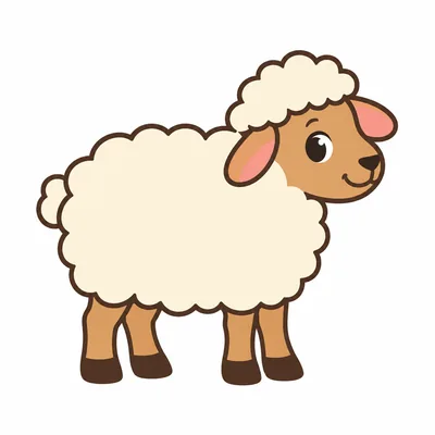 sheep